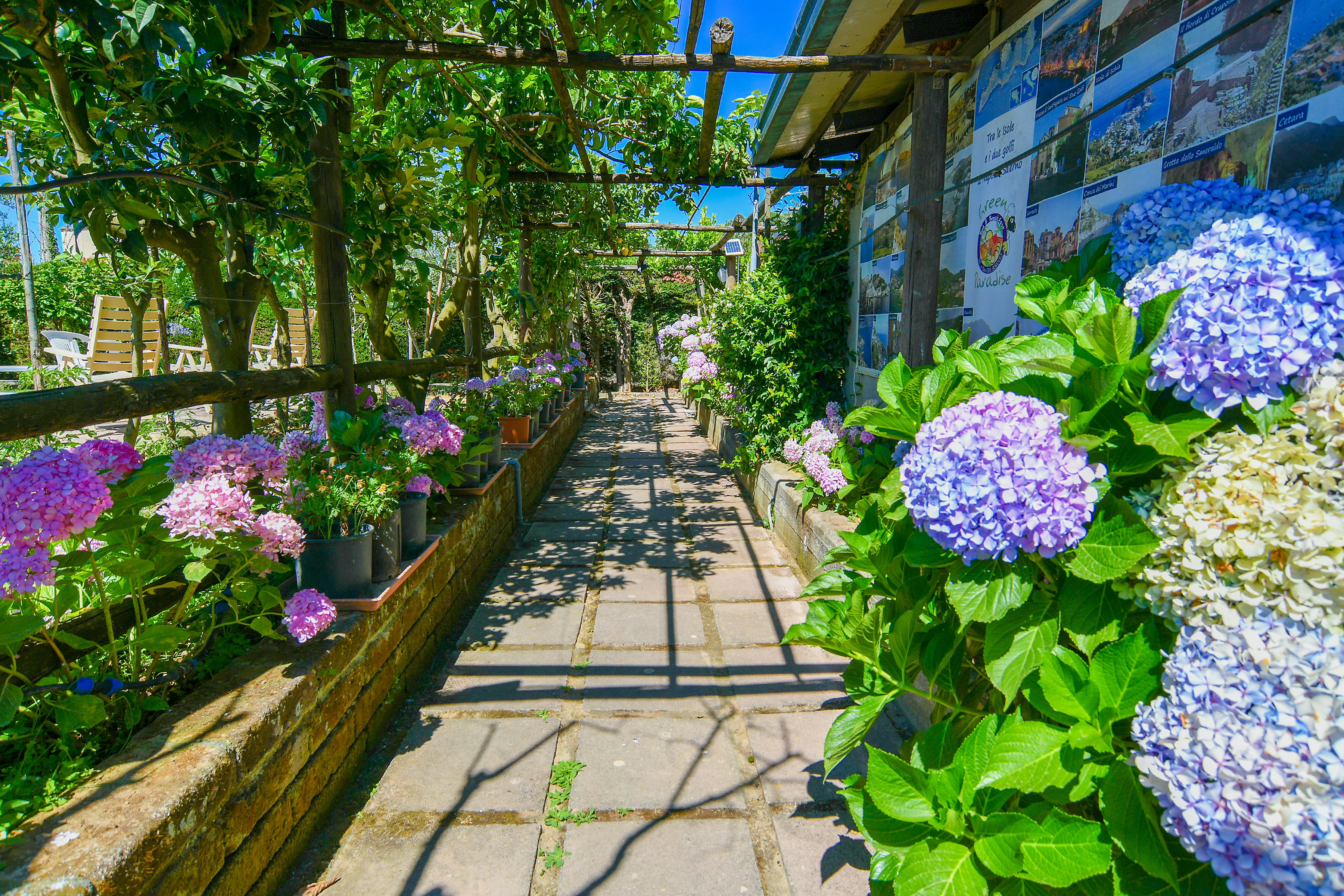 Esterni Villa Green Paradise